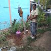 โครงการถังขยะเปียกลดโลกร้อน